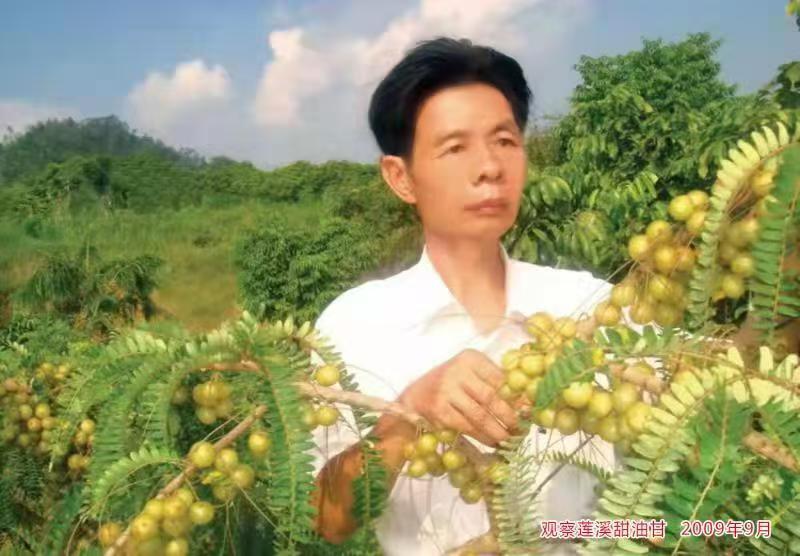 创意常在·为了果乡更美好