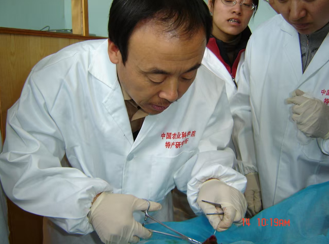 高效鹿茸研究助力人类健康